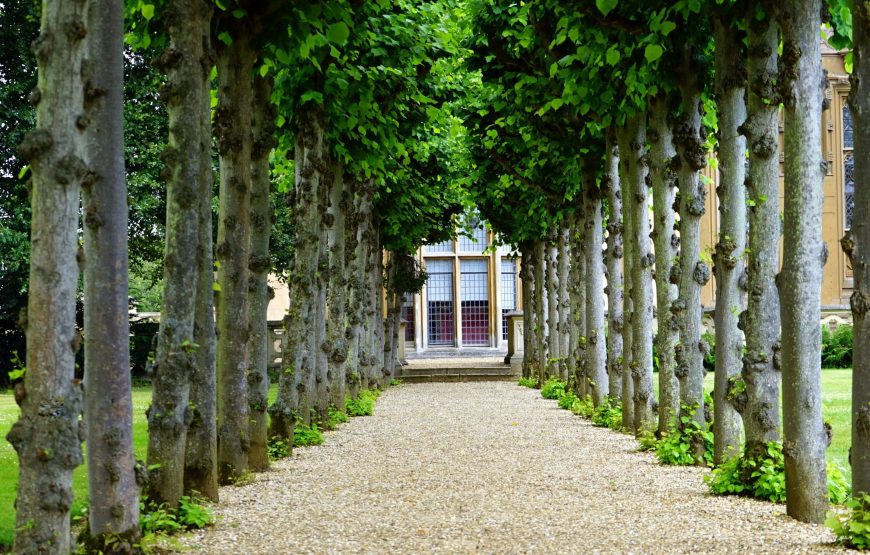 อาร์&เอ็น เรสซิเดนซ์ (R&N Residence)